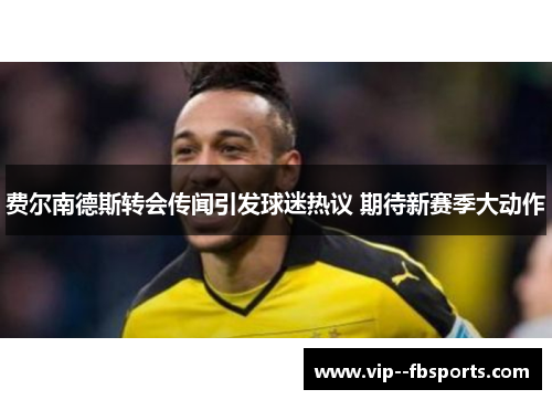 费尔南德斯转会传闻引发球迷热议 期待新赛季大动作 费尔南德斯转会传闻引发球迷热议 期待新赛季大动作