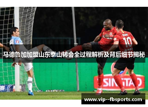 马德鲁加加盟山东泰山转会全过程解析及背后细节揭秘