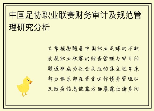 中国足协职业联赛财务审计及规范管理研究分析